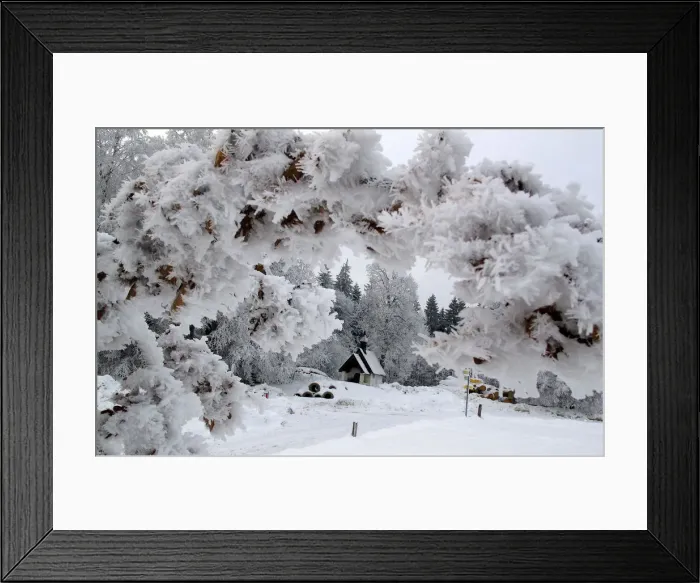 Framed Print : A chapel on the Taubenberg mountain in Warngau is framed by frozen leafs Framed Print : A chapel on the Taubenberg mountain in Warngau is framed by frozen leafs