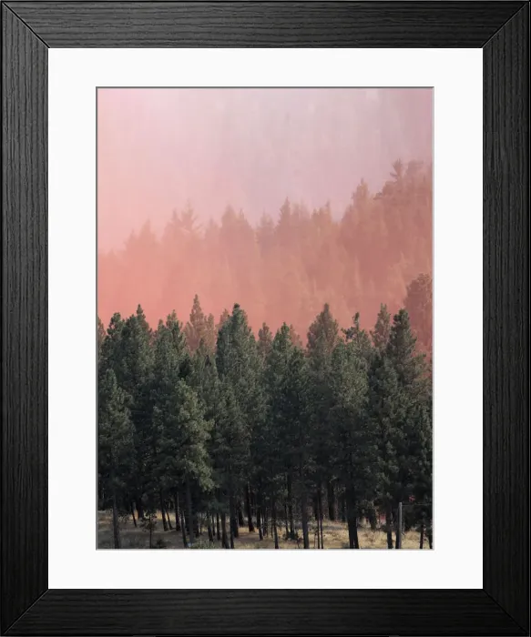 Framed Print : Orange fire retardant is dumped from firefighting tanker plane onto trees near homes