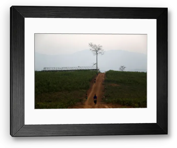 Framed Print : The Wider Image: Myanmar hills embrace silkworms over poppies Framed Print : The Wider Image: Myanmar hills embrace silkworms over poppies