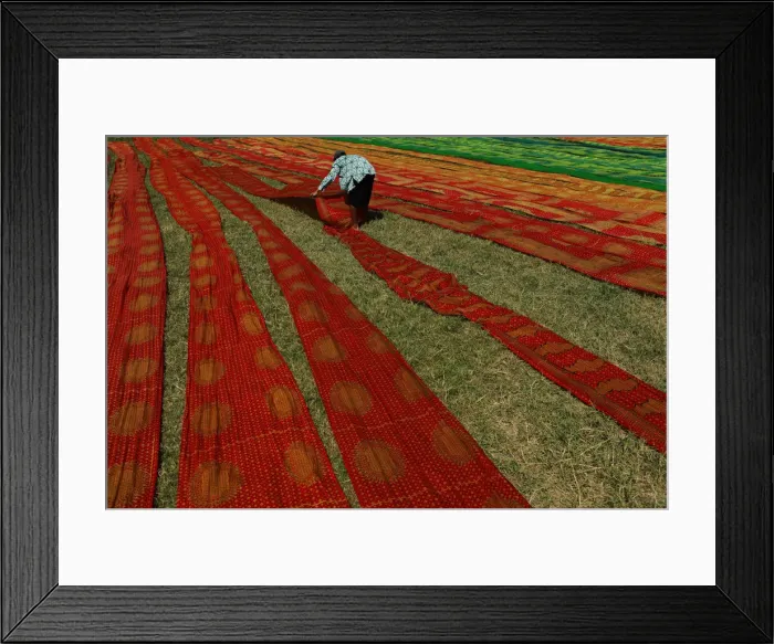 Framed Print : A worker lays batik cloth out on the grass to dry in Solo Framed Print : A worker lays batik cloth out on the grass to dry in Solo