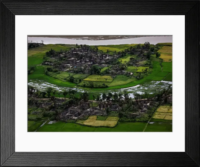 Framed Print : AWARD WINNER: Pulitzer for Feature Photography Framed Print : AWARD WINNER: Pulitzer for Feature Photography