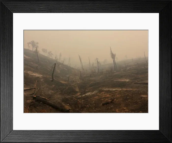 Framed Print : Hills are bare after being burned in the Carr Fire near Igo Framed Print : Hills are bare after being burned in the Carr Fire near Igo