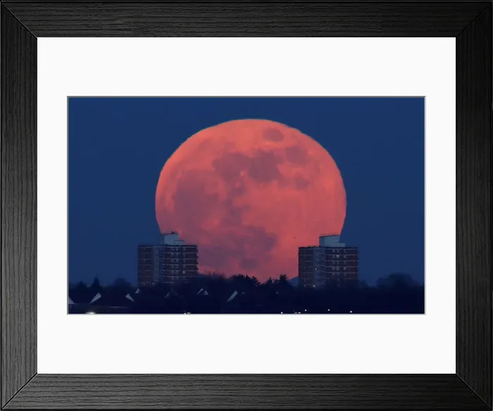 Framed Print : A full moon rises behind blocks of flats in north London Framed Print : A full moon rises behind blocks of flats in north London