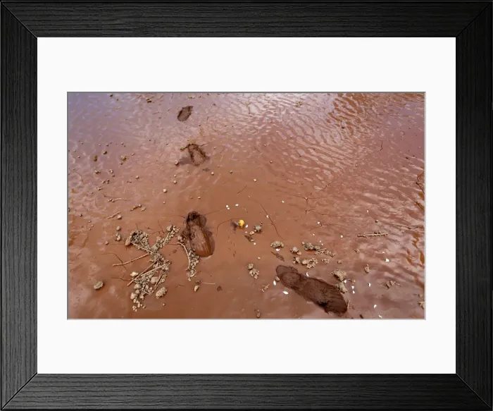 Framed Print : Footprints are seen on wet ground as volunteers arrive for a recovery mission after a dam Framed Print : Footprints are seen on wet ground as volunteers arrive for a recovery mission after a dam
