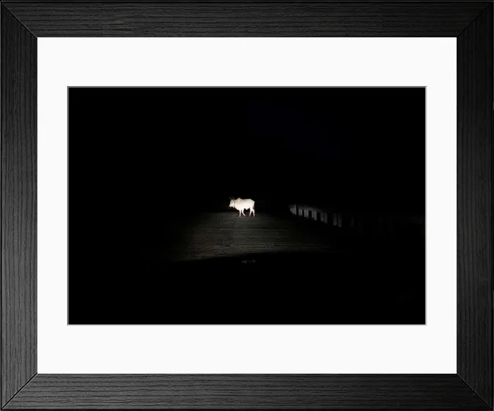 Framed Print : The Wider Image: In the Sierra Maestra, Castro revolution lives Framed Print : The Wider Image: In the Sierra Maestra, Castro revolution lives