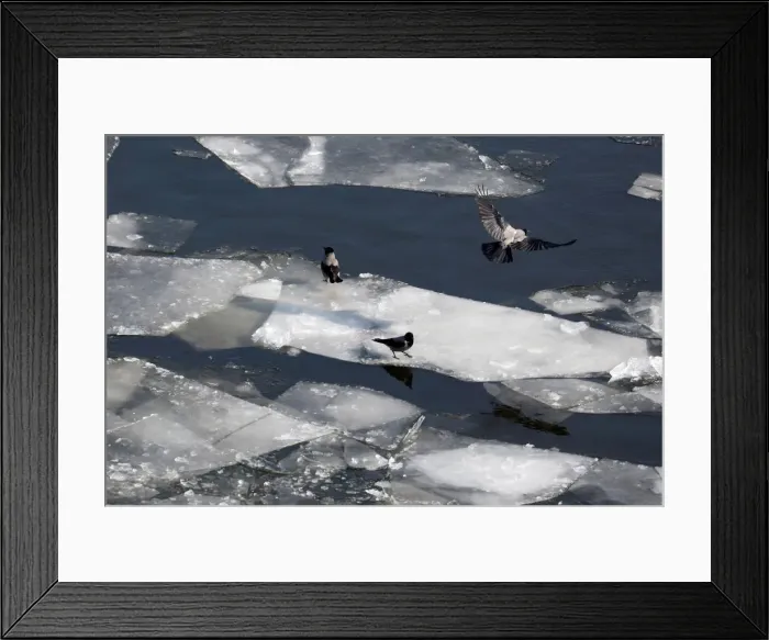 Framed Print : Ice is seen on the river Spree in Berlin