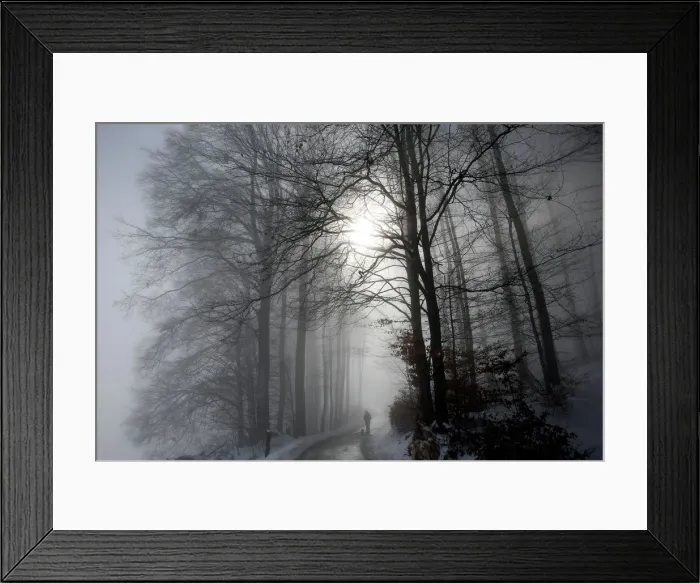 Framed Print : A man walks with his dog through a forest during a foggy morning in Bern Framed Print : A man walks with his dog through a forest during a foggy morning in Bern