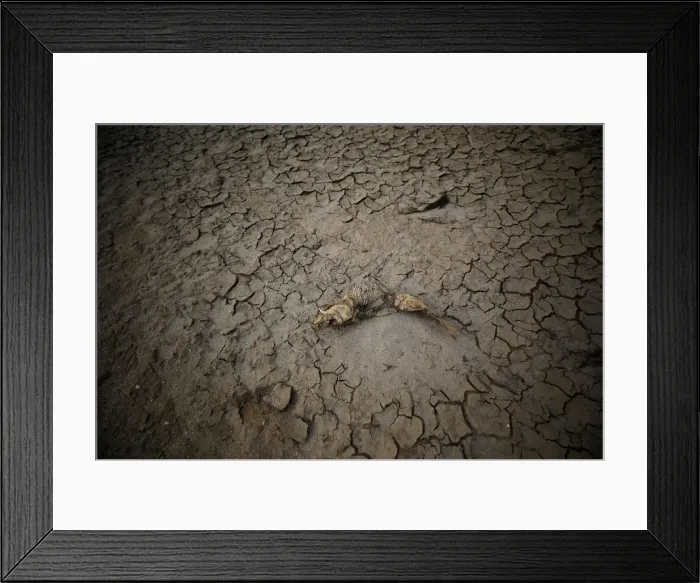 Framed Print : The Wider Image: Cape Town dreads Day Zero when taps will run dry Framed Print : The Wider Image: Cape Town dreads Day Zero when taps will run dry