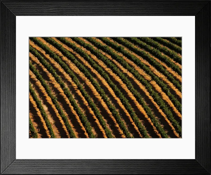 Framed Print : The Wider Image: Cape Town dreads Day Zero when taps will run dry Framed Print : The Wider Image: Cape Town dreads Day Zero when taps will run dry