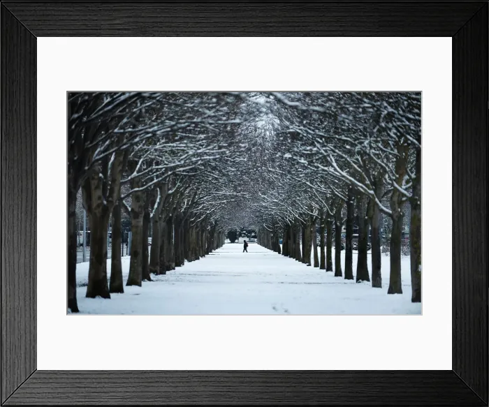Framed Print : A man crosses an avenue of snow-covered trees in the Basque city of Vitoria Framed Print : A man crosses an avenue of snow-covered trees in the Basque city of Vitoria