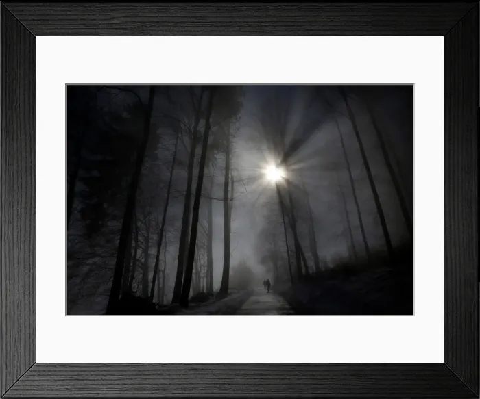 Framed Print : Pedestrians walk through a forest during a foggy morning in Bern