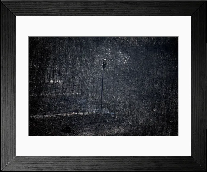 Framed Print : Pictures of the Year
