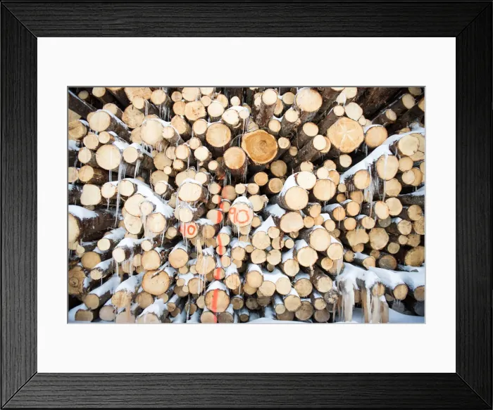 Framed Print : Green softwood lumber is stacked at Groupe Crete, a sawmill in Chertsey, Quebec Framed Print : Green softwood lumber is stacked at Groupe Crete, a sawmill in Chertsey, Quebec