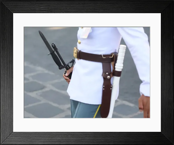Framed Print : A guard of honor holds a gun near the Grand Palace in Bangkok