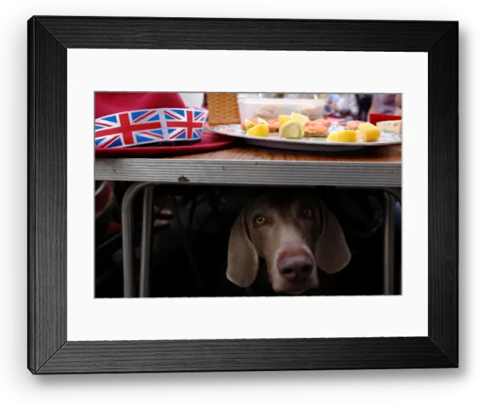 Framed Print : A dog looks out from beneath a table of food as residents gather together in the main Framed Print : A dog looks out from beneath a table of food as residents gather together in the main