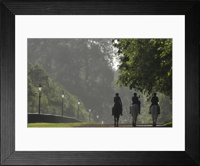 Framed Print : Members of the Household Cavalry are seen riding in the early morning in Hyde Park in Framed Print : Members of the Household Cavalry are seen riding in the early morning in Hyde Park in