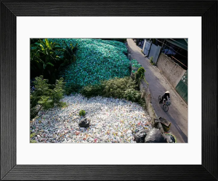 Framed Print : A Vietnamese woman cycles past recyclable plastic bottles at Xa Cau village Framed Print : A Vietnamese woman cycles past recyclable plastic bottles at Xa Cau village