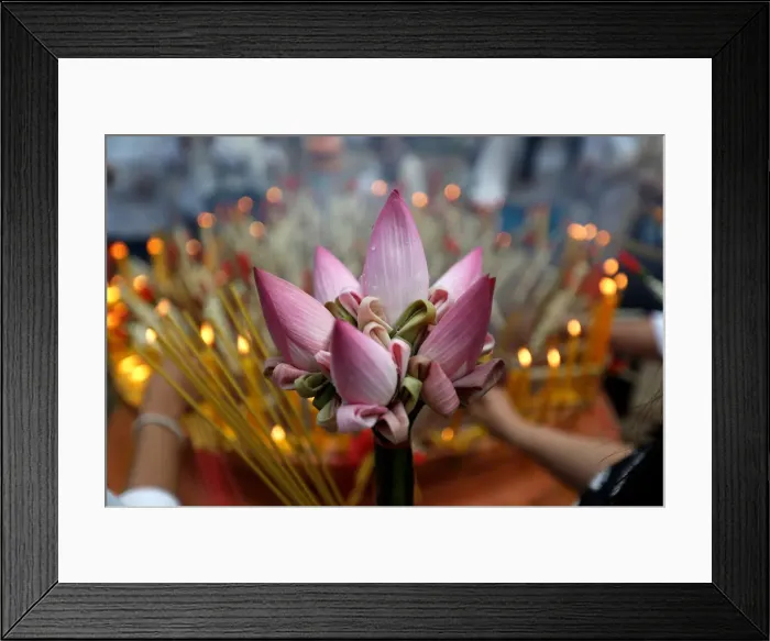 Framed Print : A lotus flower is seen while people pray at the Oudong mountain during the annual Makha Framed Print : A lotus flower is seen while people pray at the Oudong mountain during the annual Makha