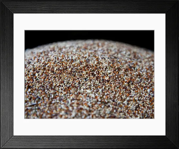 Framed Print : The Wider Image: Wings of joy: Kabuls bird market Framed Print : The Wider Image: Wings of joy: Kabuls bird market