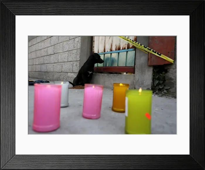 Framed Print : Pet of inhabitants killed at a house knocked by the car of a cargo train after it ran off Framed Print : Pet of inhabitants killed at a house knocked by the car of a cargo train after it ran off