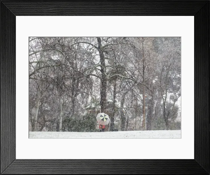 Framed Print : A woman walks during a heavy snowfall in Retiro park in Madrid Framed Print : A woman walks during a heavy snowfall in Retiro park in Madrid