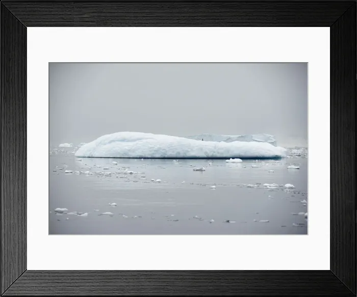 Framed Print : An iceberg floats in Andvord Bay, Antarctica Framed Print : An iceberg floats in Andvord Bay, Antarctica