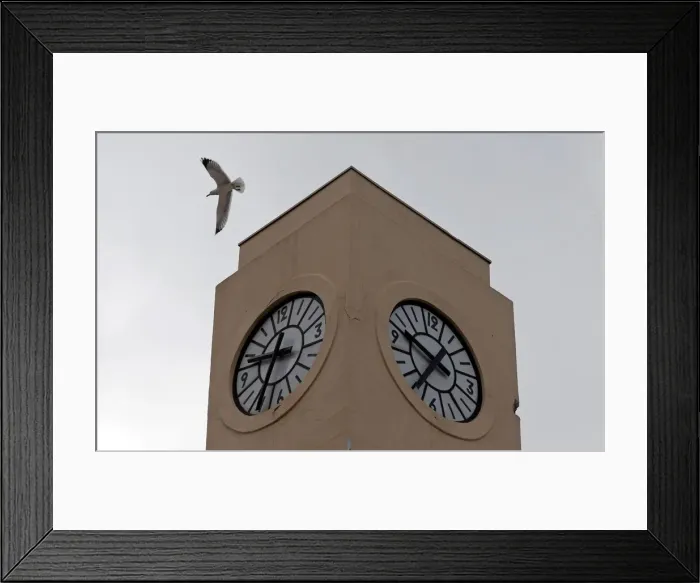 Framed Print : A seagull flies past a broken tower clock which does not indicate the correct time in Framed Print : A seagull flies past a broken tower clock which does not indicate the correct time in