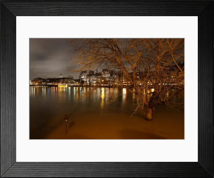 Framed Print : A street-lamp and a tree are seen on the flooded banks of the River Seine in Paris Framed Print : A street-lamp and a tree are seen on the flooded banks of the River Seine in Paris