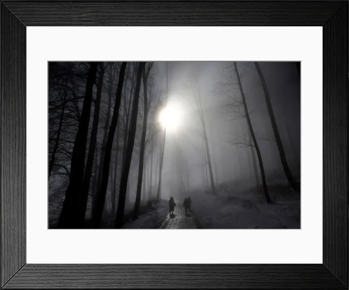 Framed Print : Pedestrians walk through a forest during a foggy morning in Bern Framed Print : Pedestrians walk through a forest during a foggy morning in Bern