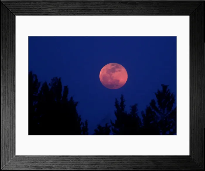Framed Print : A full moon Super Blue Blood Moon rises in Nicosia Framed Print : A full moon Super Blue Blood Moon rises in Nicosia