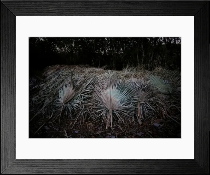 Framed Print : The Wider Image: In the Sierra Maestra, Castro revolution lives Framed Print : The Wider Image: In the Sierra Maestra, Castro revolution lives