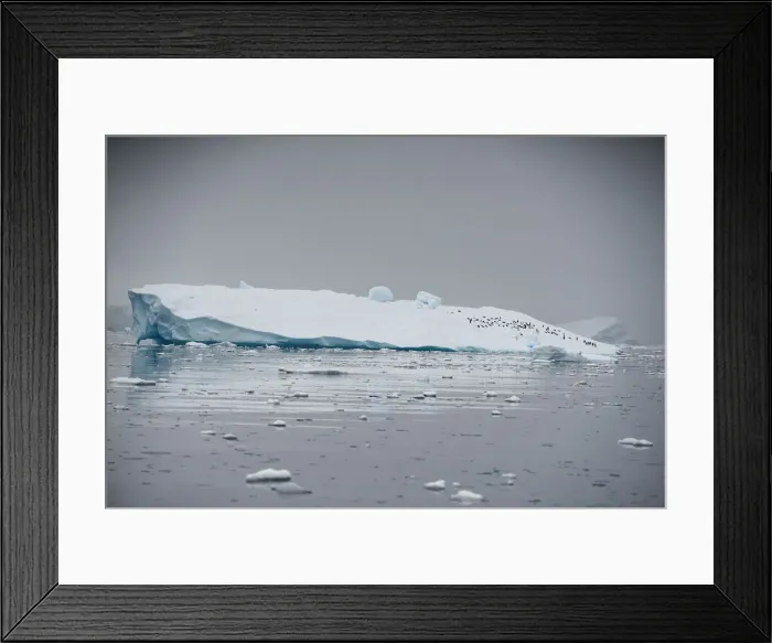 Framed Print : An iceberg floats in Andvord Bay, Antarctica