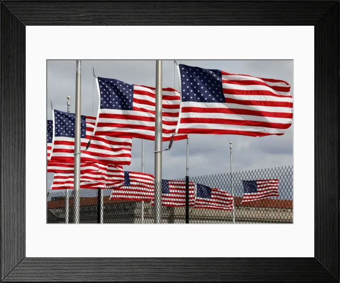Framed Print : American flags fly on National Mall Framed Print : American flags fly on National Mall