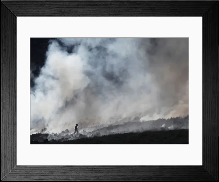 Framed Print : A firefighter works at fire on a moor above Carrwood Framed Print : A firefighter works at fire on a moor above Carrwood