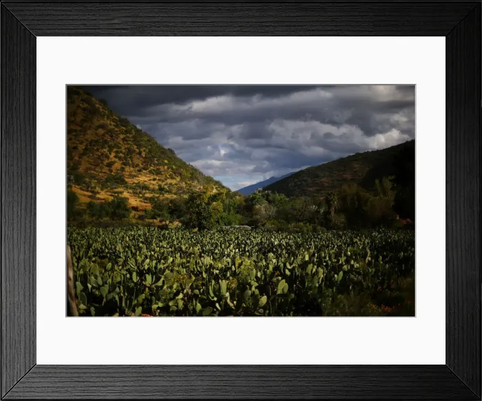 Framed Print : The Wider Image: Chiles tiny Til Til faces big trash problem Framed Print : The Wider Image: Chiles tiny Til Til faces big trash problem