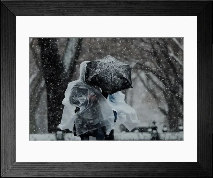 Framed Print : Pedestrians walk through Central Park during a snow storm in New York
