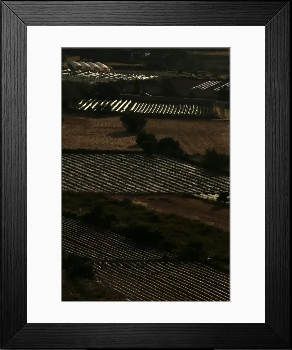 Framed Print : A car passes along a road in between crop-growing fields outside Burmarrad Framed Print : A car passes along a road in between crop-growing fields outside Burmarrad