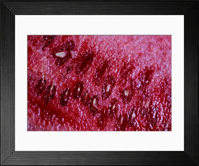 Framed Print : Illustration photo of a watermelon