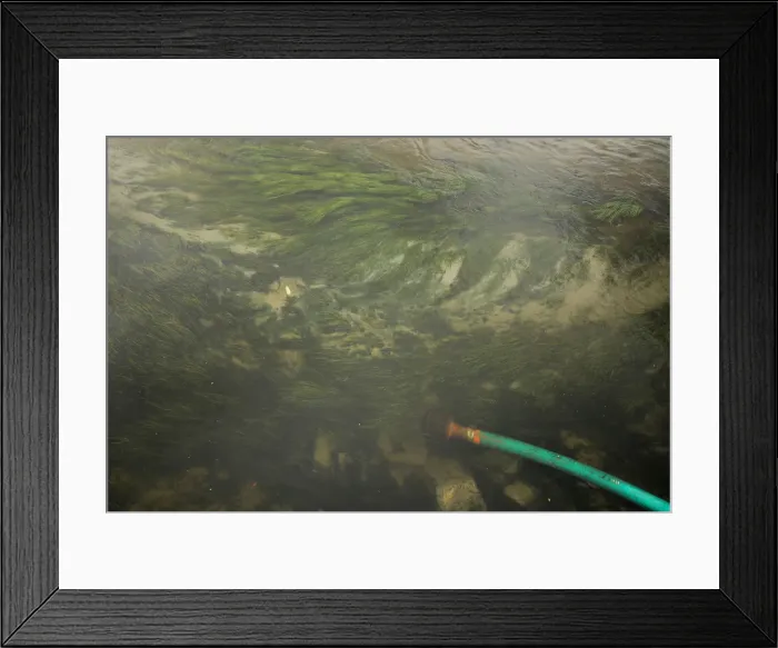 Framed Print : The Wider Image: Cape Town dreads Day Zero when taps will run dry