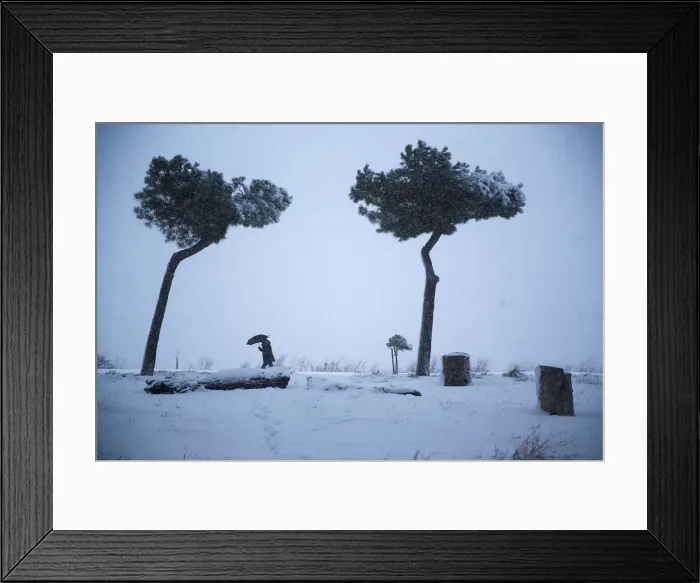 Framed Print : A man walks during a heavy snowfall in downtown Rome Framed Print : A man walks during a heavy snowfall in downtown Rome