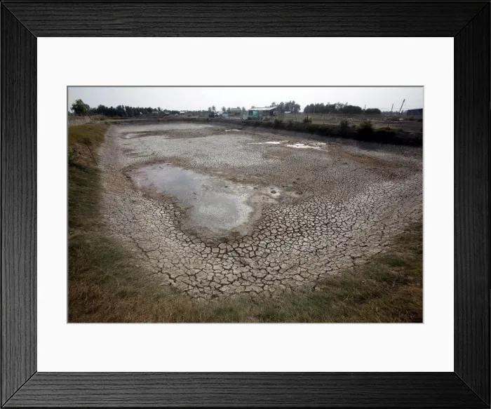 Framed Print : A shrimp farm affected by drought is seen in Bac Lieu province, in the Mekong Delta