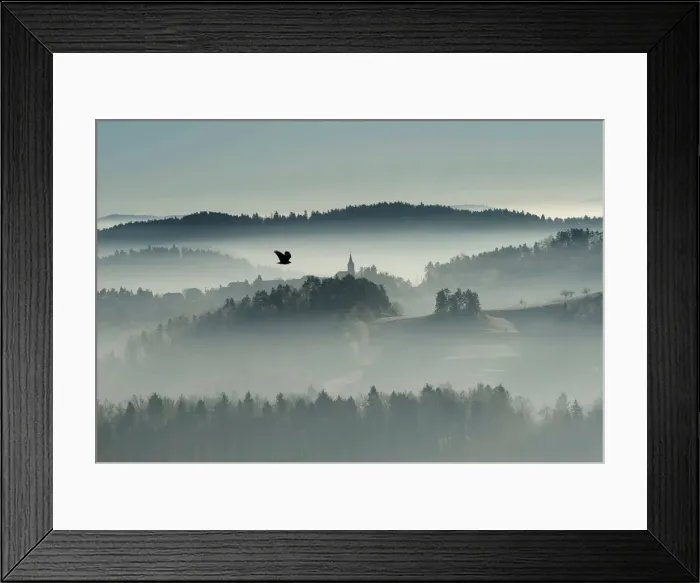 Framed Print : A bird flies over the foggy country in Zlebe