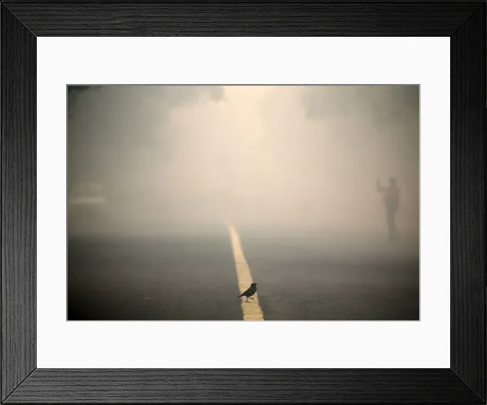 Framed Print : A bird crosses a smog covered road in New Delhi Framed Print : A bird crosses a smog covered road in New Delhi