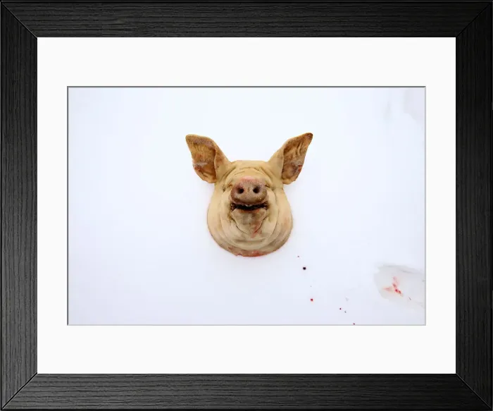 Framed Print : The Wider Image: Wolf-hunting near the Chernobyl zone Framed Print : The Wider Image: Wolf-hunting near the Chernobyl zone