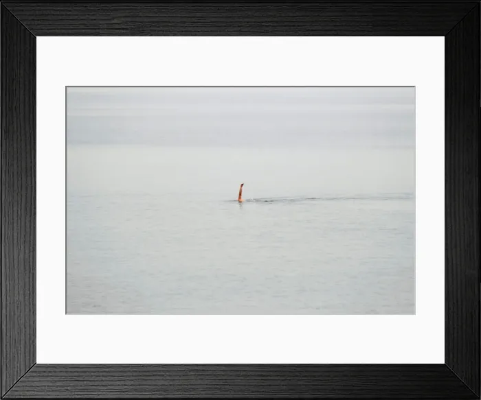 Framed Print : A man swims away from the shore at Orlowo beach in Gdynia Framed Print : A man swims away from the shore at Orlowo beach in Gdynia