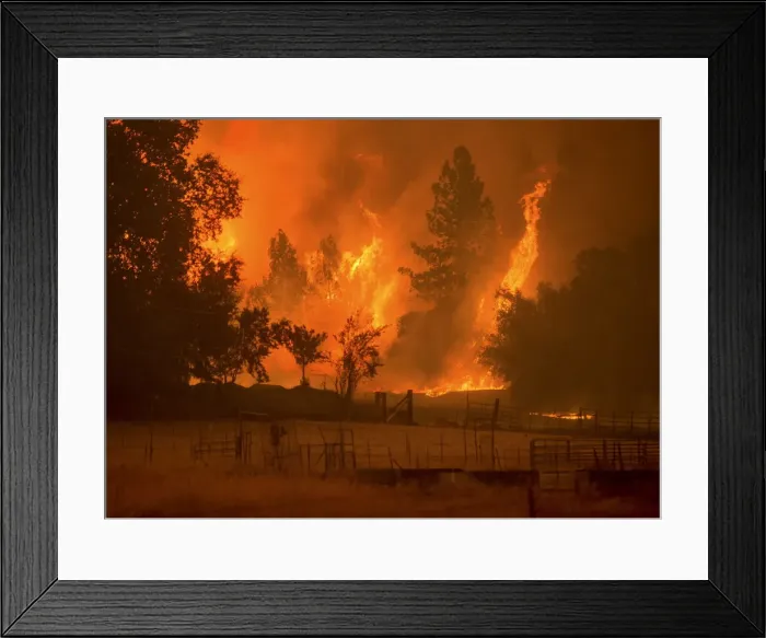 Framed Print : Flames from the Butte fire rise over a pasture in Mountain Ranch Framed Print : Flames from the Butte fire rise over a pasture in Mountain Ranch