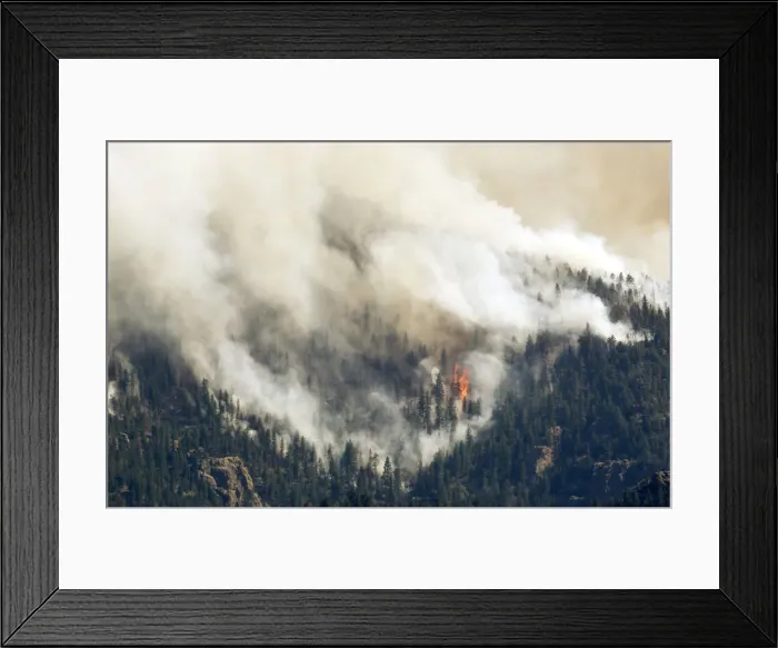 Framed Print : Smoke rises from the raging High Park fire west of Fort Collins, in Colorado Framed Print : Smoke rises from the raging High Park fire west of Fort Collins, in Colorado