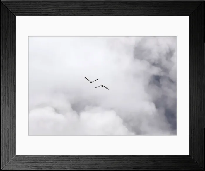 Framed Print : Birds fly towards ash erupting from the Halemaumau crater near the community of Volcano Framed Print : Birds fly towards ash erupting from the Halemaumau crater near the community of Volcano