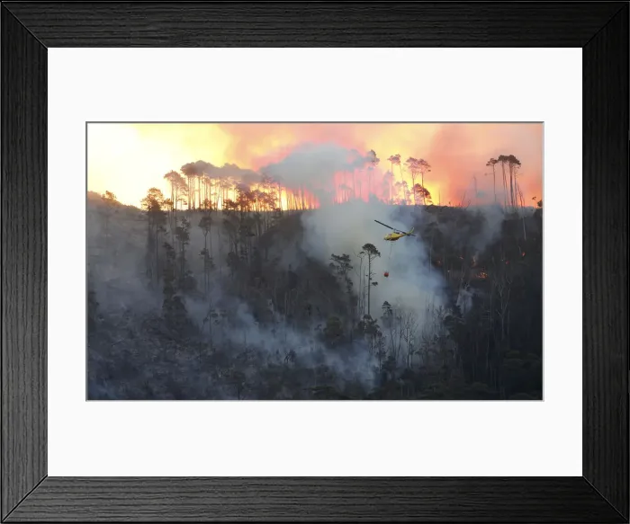 Framed Print : A helicopter drops water on a bushfire burning above Cape Towns Tokai forest Framed Print : A helicopter drops water on a bushfire burning above Cape Towns Tokai forest