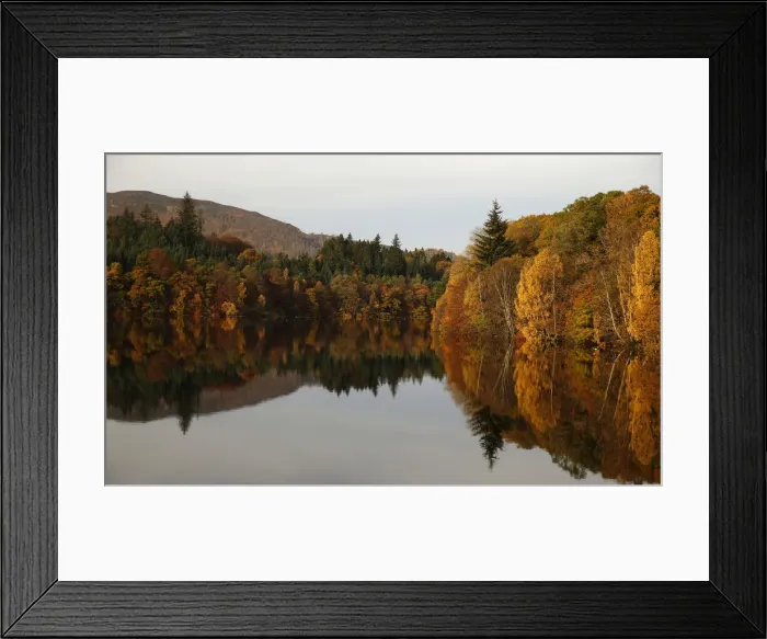 Framed Print : Autumn leaves are reflected in Loch Faskally in Pitlochry Framed Print : Autumn leaves are reflected in Loch Faskally in Pitlochry